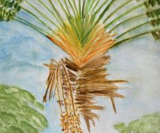 palmboom 1, aquarel, 20 x 30 cm